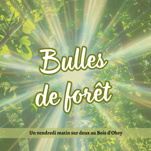 Bulles de Forêt 🌳
