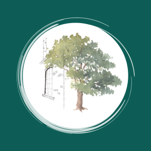 Eléonore Vanopdenbosch