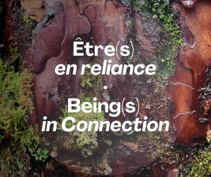 Etres_en_reliance_Beings_in_Connection.jpg
