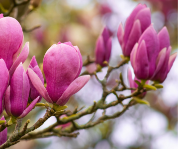 Formation à l’animation d’espaces de parole sur l’état du monde