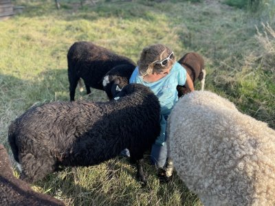 Au coeur du troupeau expérimentons un lien inter-espèce.