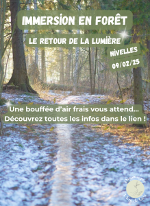 Immersion en forêt - Le retour de la lumière