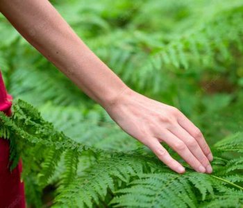 Ma juste place dans la toile de la Vie - PRH-TQR