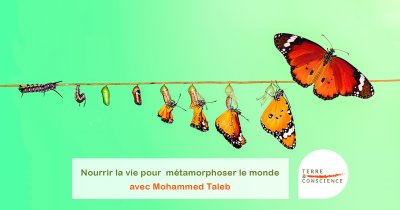 Nourrir la Vie pour métamorphoser le monde