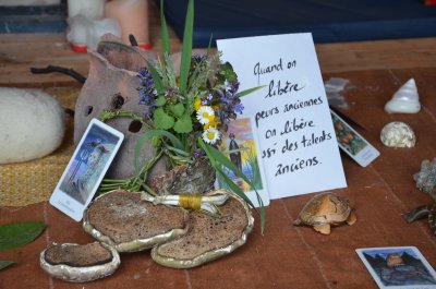 Traversée Qui Relie – Plonger dans le cycle Vie-mort-naissance-vie